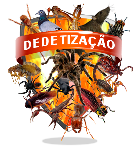 dedetizacao2 dedetizacao2